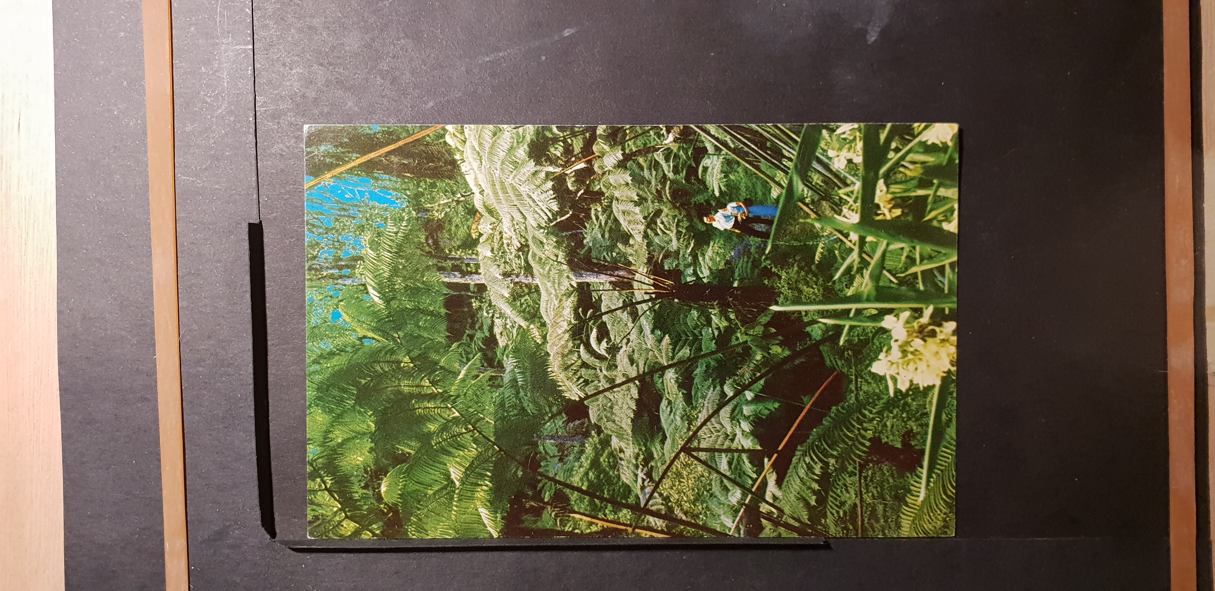 (image for) US-HI-000023 Hawaii