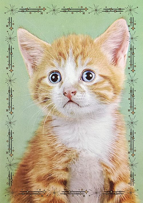 (image for) Cats 1950s 1980s