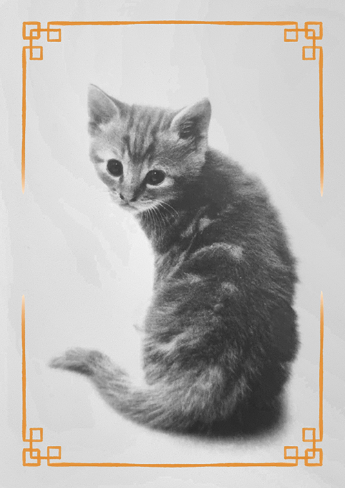 (image for) Cats 1990s now