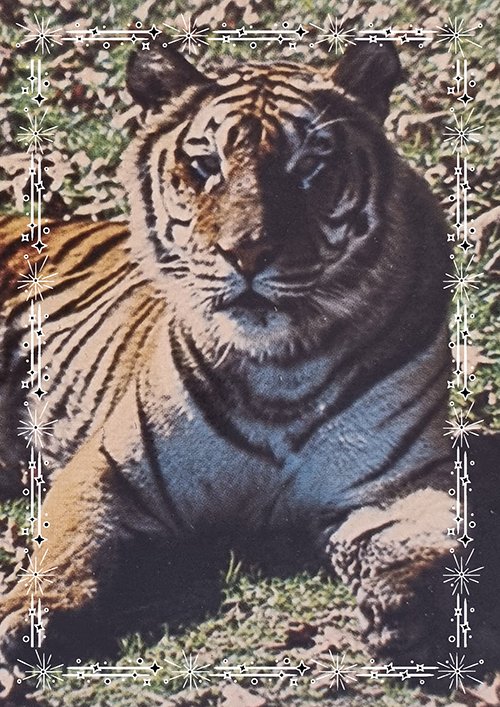 (image for) animals b4 1970s