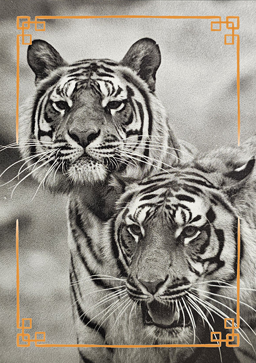 (image for) animals 1980s +