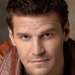 (image for) David Boreanaz