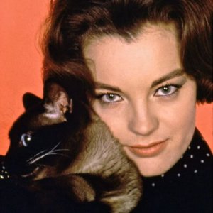 Romy Schneider (image for) Romy Schneider