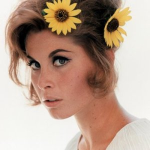 Stefanie Powers (image for) Stefanie Powers