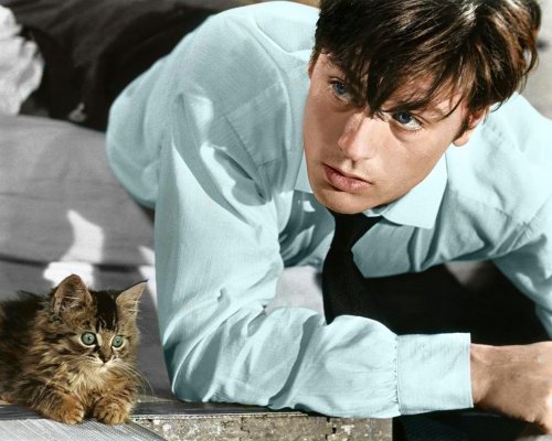 (image for) Alain Delon #0726- COLORIZED