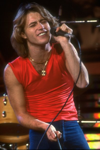 (image for) Andy Gibb #0002 - 8x12 inch