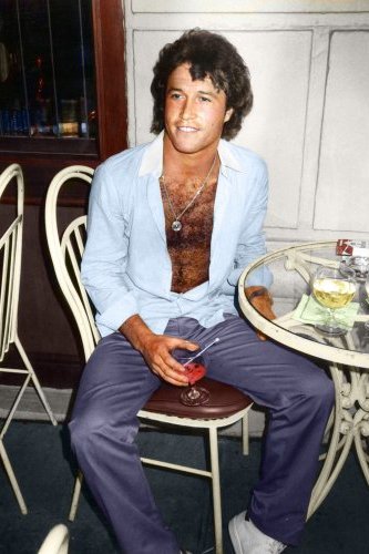 (image for) Andy Gibb #0008 - COLORIZED