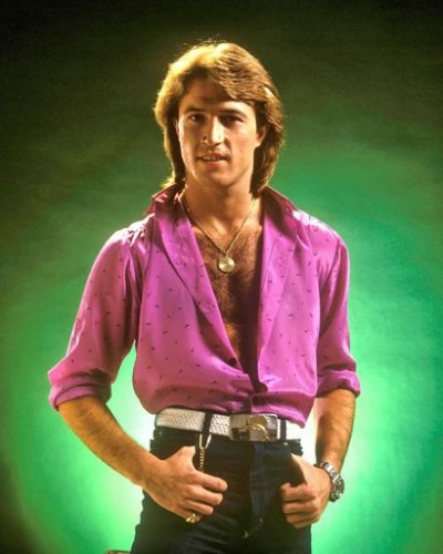 (image for) Andy Gibb #0020