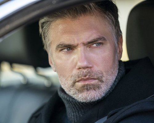 (image for) Anson Mount #0221