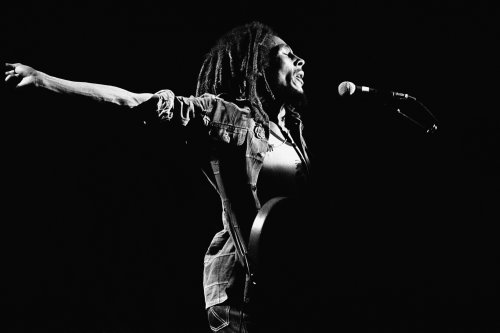 (image for) Bob Marley #0001 - 8x12 inch