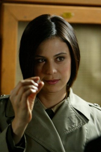 (image for) Catherine Bell #0228 - 8x12 inch