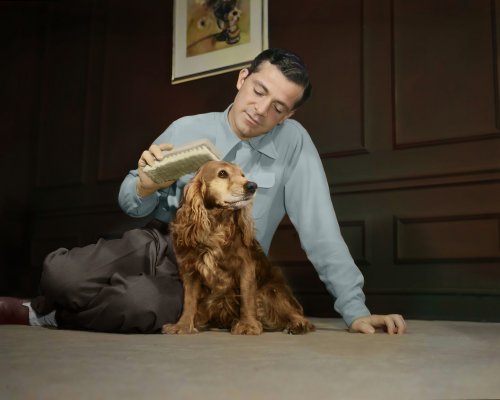 (image for) Dana Andrews #0148 - COLORIZED
