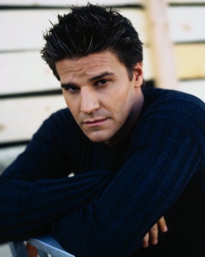 (image for) David Boreanaz #0048
