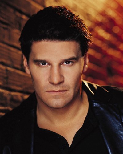 (image for) David Boreanaz #0202