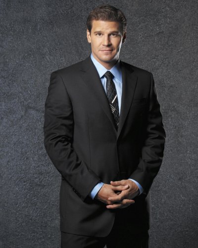 (image for) David Boreanaz #0328