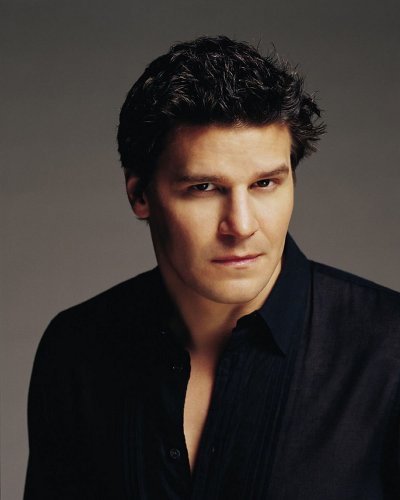 (image for) David Boreanaz #0334