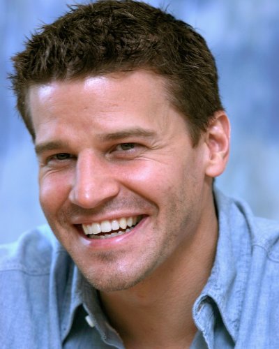 (image for) David Boreanaz #0477