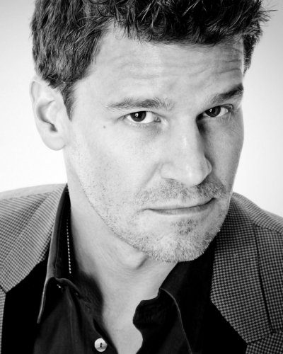 (image for) David Boreanaz #1090