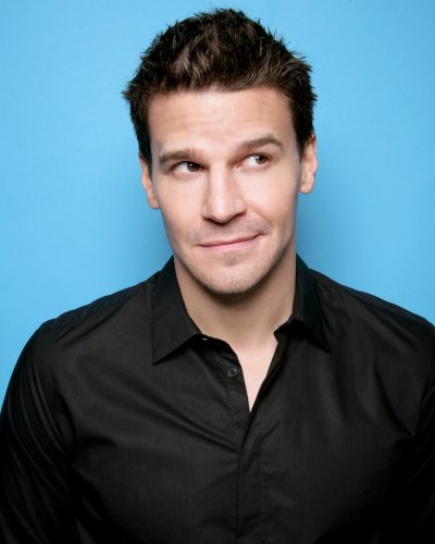 (image for) David Boreanaz #1112