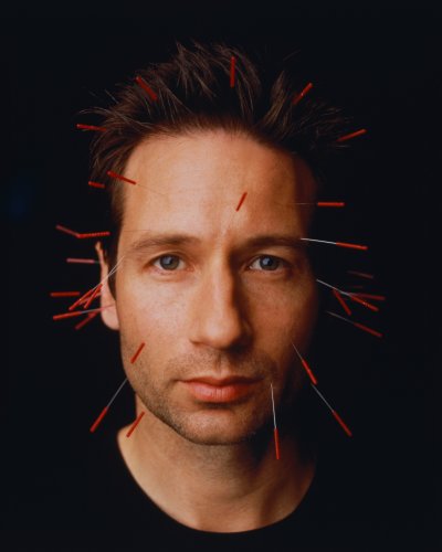 (image for) David Duchovny #0170