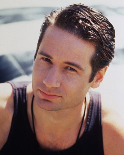 (image for) David Duchovny #0211