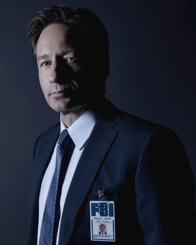 (image for) David Duchovny #4330