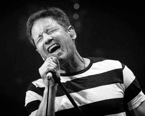(image for) David Duchovny #4367