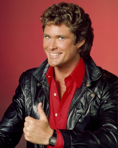 (image for) David Hasselhoff #0025