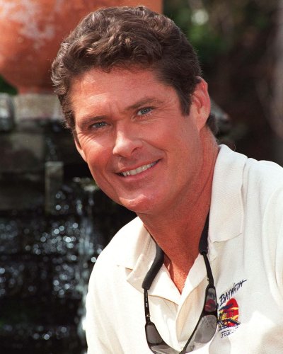(image for) David Hasselhoff #0088