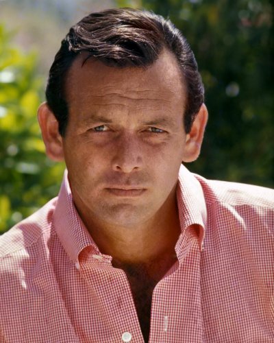 (image for) David Janssen #0193