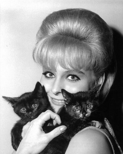 (image for) Diane mcBain #0021