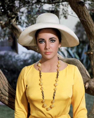 (image for) Elizabeth Taylor #0159