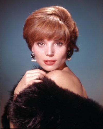 Elsa Martinelli #0008 (image for) Elsa Martinelli #0008