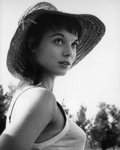 (image for) Elsa Martinelli #0010