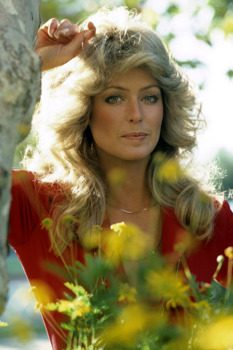 (image for) Farrah Fawcett #0213 - 8x12 inch