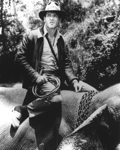 (image for) Harrison Ford #0535