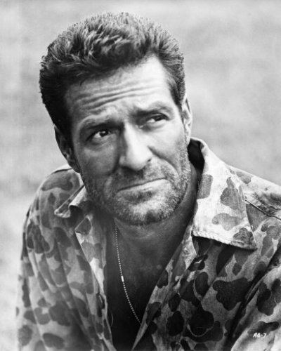 (image for) Hugh O'Brian #0024