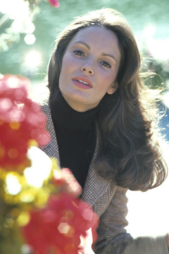 (image for) Jaclyn Smith #0061 - 8x12 inch
