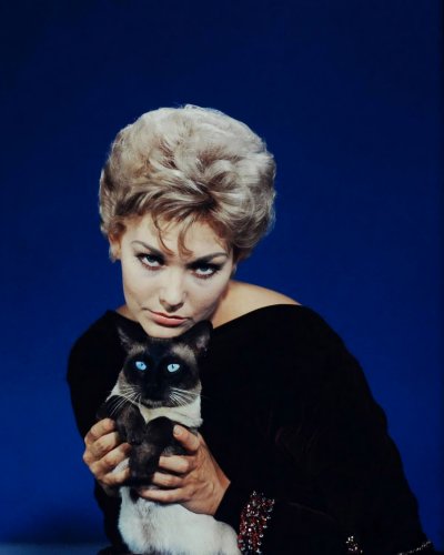 (image for) Kim Novak #0264
