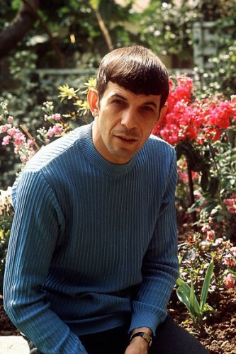 (image for) Leonard Nimoy #0012