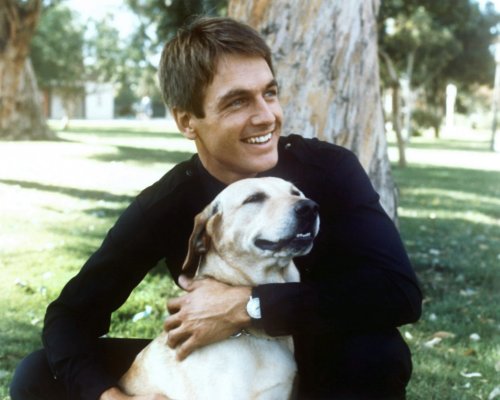 (image for) Mark Harmon #0669