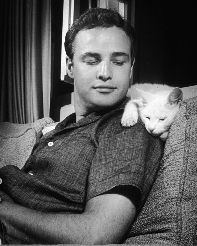(image for) Marlon Brando #0075