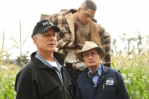 NCIS #0367 (image for) NCIS #0367