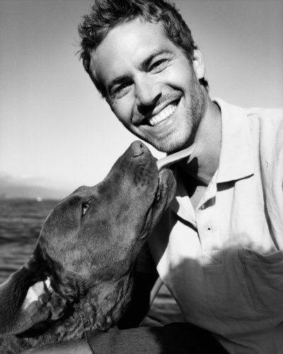 (image for) Paul Walker #1265