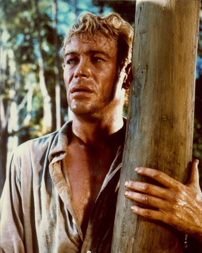 (image for) Peter O'Toole #0015