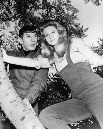 Star Trek the Original Series #0249 (image for) Star Trek the Original Series #0249