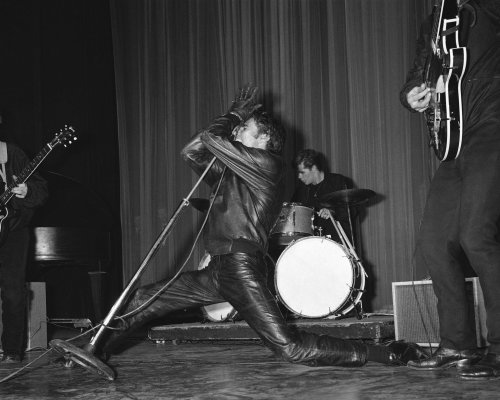 (image for) Vince Taylor #0004