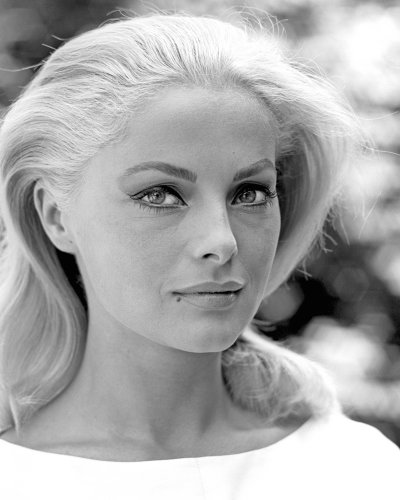 (image for) Virna Lisi #0085