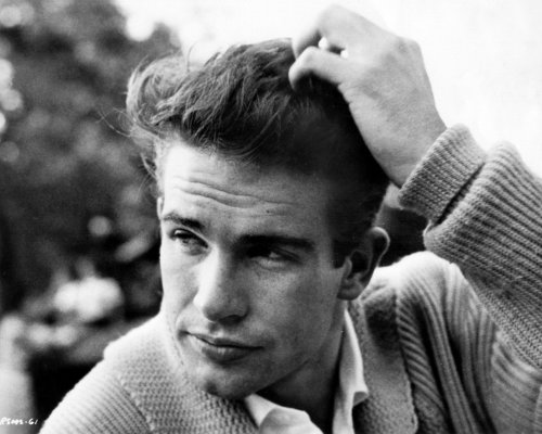 (image for) Warren Beatty #0099