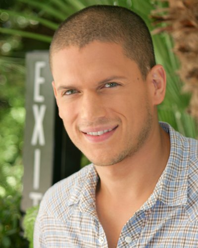 (image for) Wentworth Miller #0687